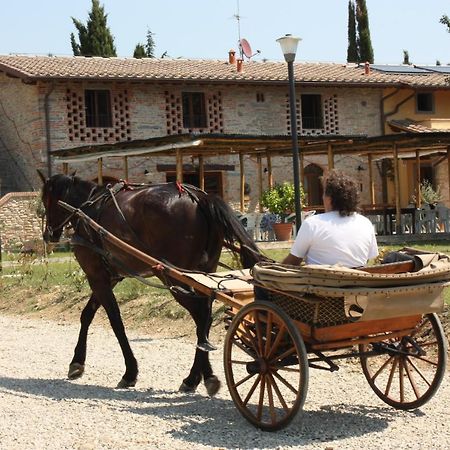 Вилла Agriturismo La Colombaia Виккьо Экстерьер фото