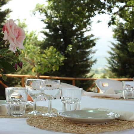 Вилла Agriturismo La Colombaia Виккьо Экстерьер фото