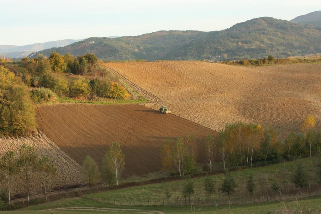 Вилла Agriturismo La Colombaia Виккьо Экстерьер фото